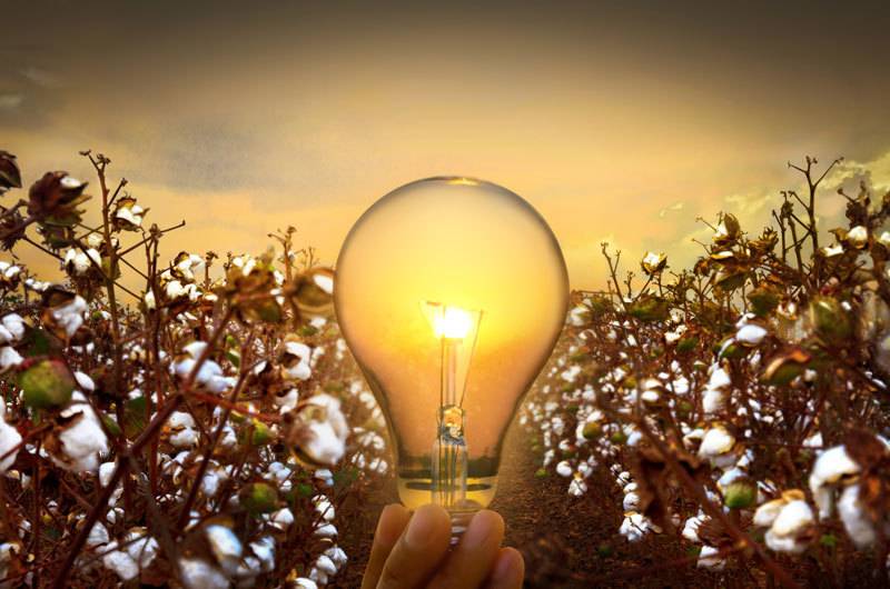 COTTON United states of america to Demonstrate What’s NEW IN COTTON™ at